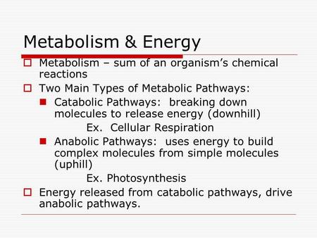 Metabolism & Energy  Metabolism – sum of an organism’s chemical reactions  Two Main Types of Metabolic Pathways: Catabolic Pathways: breaking down molecules.