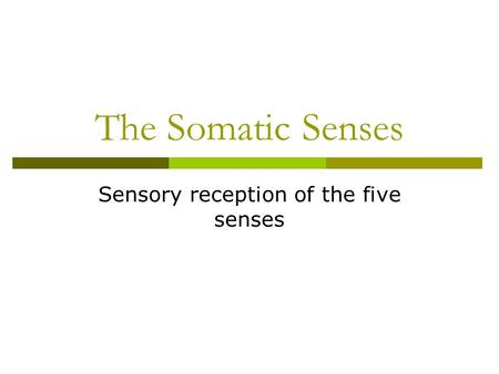 Sensory reception of the five senses