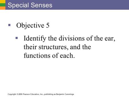 Copyright © 2006 Pearson Education, Inc., publishing as Benjamin Cummings Special Senses  Objective 5  Identify the divisions of the ear, their structures,