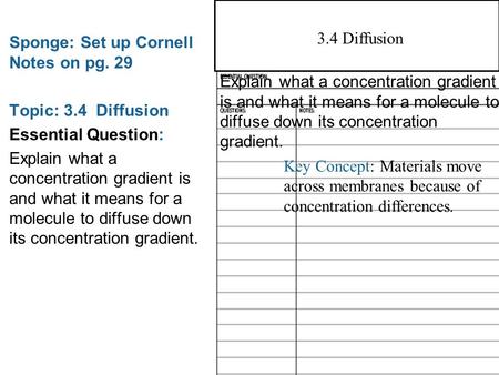 3.3 Cell Membrane Sponge: Set up Cornell Notes on pg. 29 Topic: 3.4 Diffusion Essential Question: Explain what a concentration gradient is and what it.