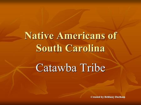 Native Americans of South Carolina Catawba Tribe Created by Brittany Durham.