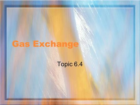 Gas Exchange Topic 6.4.