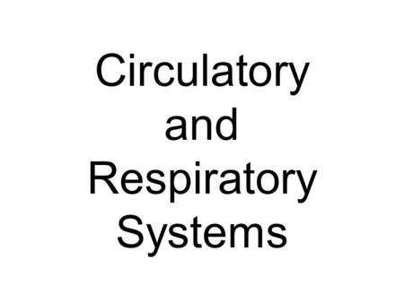 Circulatory and Respiratory Systems. The Circulatory System.