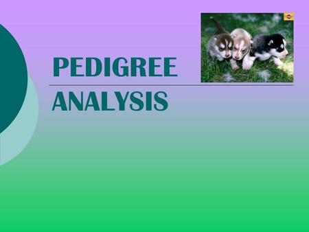 PEDIGREE ANALYSIS - Ex: sickle cell anemia, downs syndrome, and cystic fibrosis.