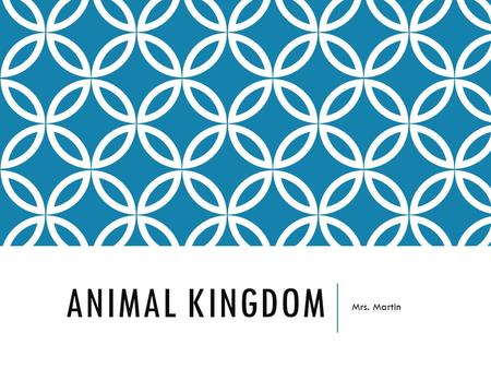 ANIMAL KINGDOM Mrs. Martin. Kingdom Animalia – Complex, multi-cellular, eukaryotic heterotrophic organisms Most complex of all kingdoms Multicellular.