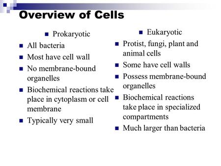 Overview of Cells Prokaryotic All bacteria Most have cell wall No membrane-bound organelles Biochemical reactions take place in cytoplasm or cell membrane.