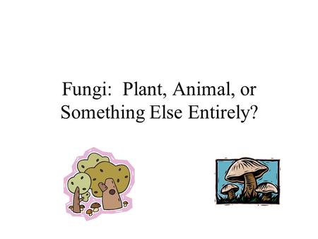 Fungi: Plant, Animal, or Something Else Entirely?.