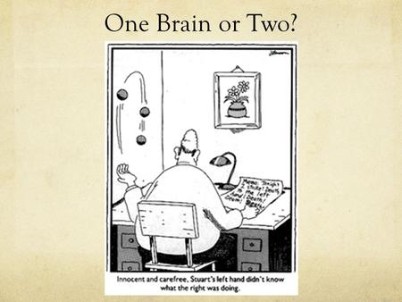 One Brain or Two?.