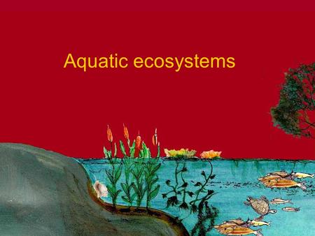 Aquatic ecosystems.