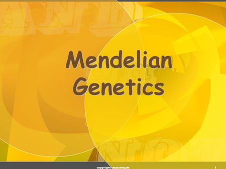 1 Mendelian Genetics copyright cmassengale 2 Genetic Terminology  Trait - any characteristic that can be passed from parent to offspring  Heredity.