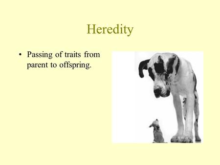 Heredity Passing of traits from parent to offspring.