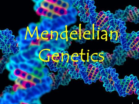 1 Mendelelian Genetics. 2 Gregor Mendel (1822-1884) Responsible for the Laws governing Inheritance of Traits.