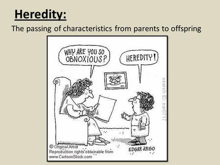 Heredity: The passing of characteristics from parents to offspring.