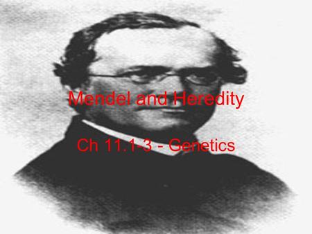 Mendel and Heredity Ch 11.1-3 - Genetics. Genetics Study of Heredity Passing of traits from parents to offspring Trait: a specific characteristic.