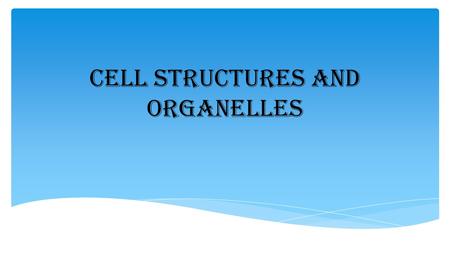 Cell Structures and Organelles. Cell Membrane Found: All Cells Location: Outer part of the cell Structure: Phospholipid bilayer Fluid, flexible Function/