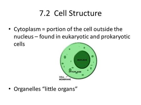 7.2 Cell Structure Cytoplasm = portion of the cell outside the nucleus – found in eukaryotic and prokaryotic cells Organelles “little organs”