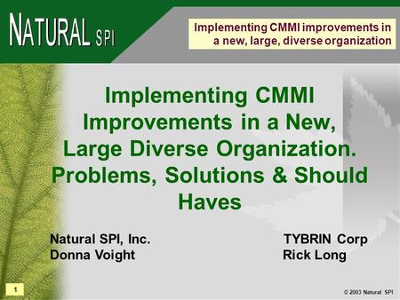 1 © 2003 Natural SPI Implementing CMMI improvements in a new, large, diverse organization Implementing CMMI Improvements in a New, Large Diverse Organization.