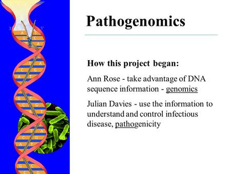 Pathogenomics How this project began: Ann Rose - take advantage of DNA sequence information - genomics Julian Davies - use the information to understand.