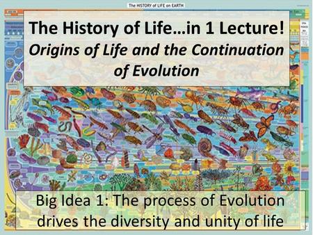 The History of Life…in 1 Lecture