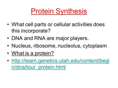 Protein Synthesis What cell parts or cellular activities does this incorporate? DNA and RNA are major players. Nucleus, ribosome, nucleolus, cytoplasm.
