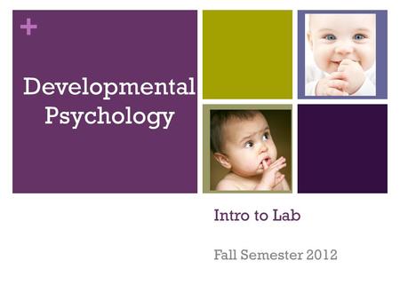 + Intro to Lab Fall Semester 2012 Developmental Psychology.