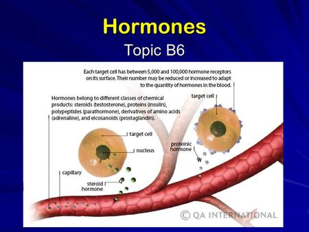 Hormones Topic B6. Production and function (B.6.1) primarily chemical messengers produced in endocrine glands – –organs that secrete directly into bloodstream.