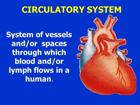 CIRCULATORY SYSTEM System of vessels and/or spaces through which blood and/or lymph flows in a human.