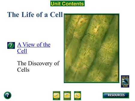 Unit Overview – pages 138-139 The Life of a Cell A View of the Cell The Discovery of Cells.