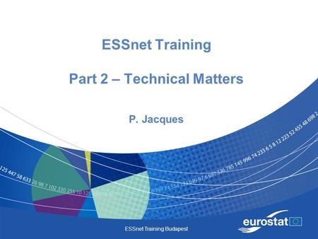 ESSnet Training Budapest ESSnet Training Part 2 – Technical Matters P. Jacques.