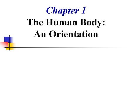 Chapter 1 The Human Body: An Orientation. The Human Body – An Orientation Anatomy – study of the structure and shape of the body and its parts Physiology.