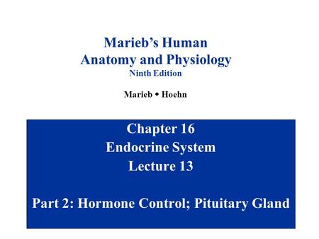 Anatomy and Physiology Part 2: Hormone Control; Pituitary Gland