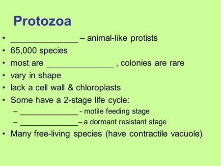 Protozoa ______________ – animal-like protists 65,000 species