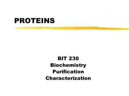 PROTEINS BIT 230 Biochemistry Purification Characterization.
