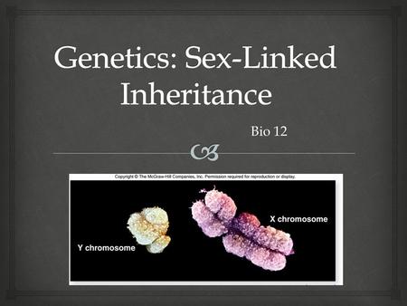 Genetics: Sex-Linked Inheritance
