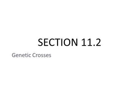 SECTION 11.2 Genetic Crosses. I. Genotype and Phenotype 1.Genotype: genetic makeup of an organism a.Alleles that give the organism its traits b.EX: Tall: