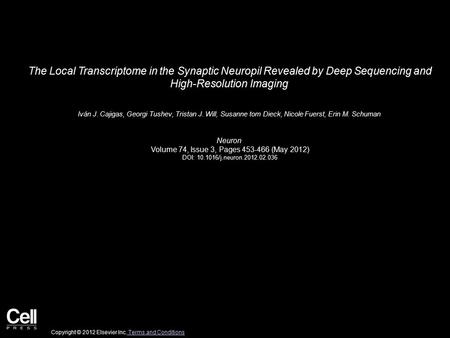 The Local Transcriptome in the Synaptic Neuropil Revealed by Deep Sequencing and High-Resolution Imaging Iván J. Cajigas, Georgi Tushev, Tristan J. Will,