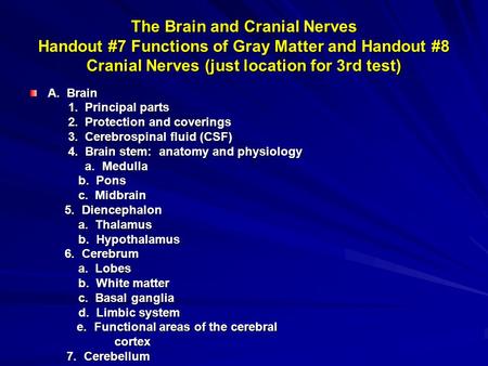 The Brain and Cranial Nerves Handout #7 Functions of Gray Matter and Handout #8 Cranial Nerves (just location for 3rd test) A. Brain 1. Principal parts.