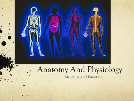 Anatomy And Physiology Structure and Function. Define Anatomy and Physiology Anatomy: the study of internal and external structure and the physical relationship.