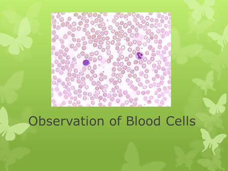 Observation of Blood Cells. Slide 1 1. Draw the slide. 2. Common name of Cells 3. Correct name of cells 4. Characteristic #1 5. Characteristic #2.