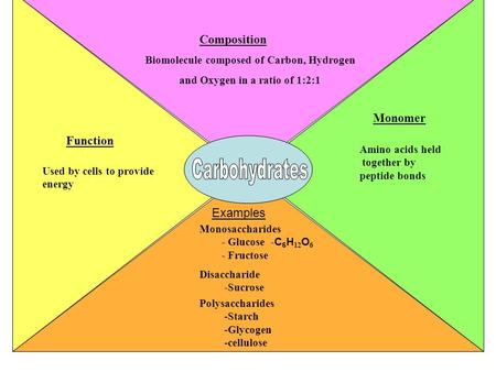Biomolecule composed of Carbon, Hydrogen and Oxygen in a ratio of 1:2:1 Monosaccharides - Glucose - C 6 H 12 O 6 - Fructose Disaccharide -Sucrose Polysaccharides.