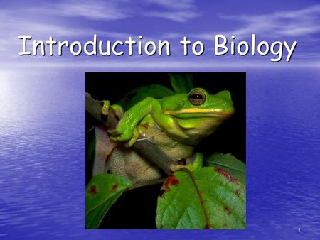 1 Introduction to Biology. 2 Complexity of Life Biology is the study of life (bacteria, protists, fungi, plants, animals) Biology is the study of life.
