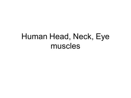 Human Head, Neck, Eye muscles. Epicranius (frontalis), Levator labii superioris, Orbicularis oculi, Orbicularis oris, Buccinator, Masseter, Zygomaticus,