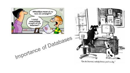 Importance of Databases. Information Literacy Information literacy is a set of abilities requiring individuals to recognize when information is needed.