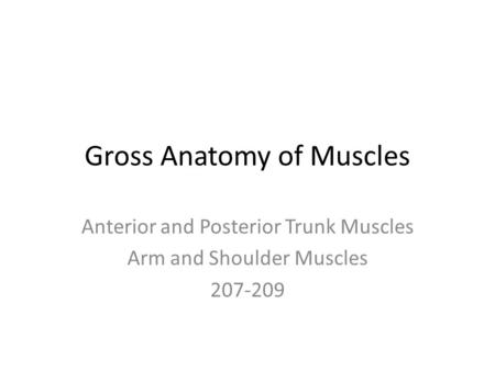 Gross Anatomy of Muscles Anterior and Posterior Trunk Muscles Arm and Shoulder Muscles 207-209.