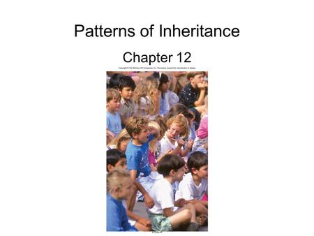 Patterns of Inheritance Chapter 12. 2 Mystery of heredity Before the 20 th century, 2 concepts were the basis for ideas about heredity –Heredity occurs.