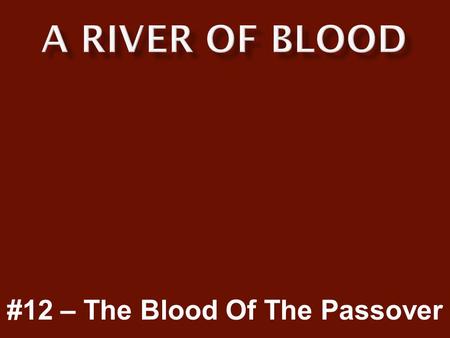#12 – The Blood Of The Passover.  We must be prepared for the coming judgment and wrath of God.  Only those protected by the blood of the Lamb will.