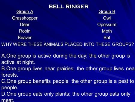 BELL RINGER Group A GrasshopperDeerRobinBeaver Group B OwlOpossumMothBat WHY WERE THESE ANIMALS PLACED INTO THESE GROUPS? A.One group is active during.
