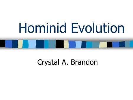 Hominid Evolution Crystal A. Brandon. Evolutionary Relationship Amongst Hominid Species.