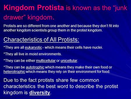 Kingdom Protista is known as the “junk drawer” kingdom. Protists are so different from one another and because they don’t fit into another kingdom scientists.