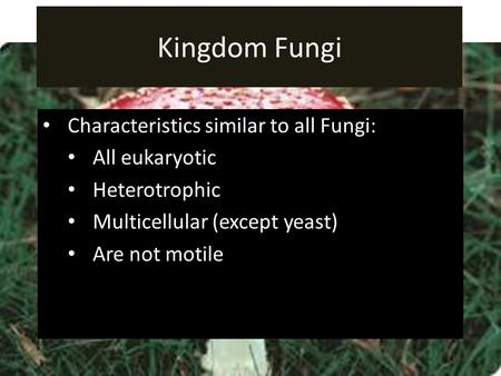 Kingdom Fungi Characteristics similar to all Fungi: All eukaryotic